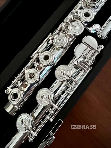 Sanky 301 flute - o,
