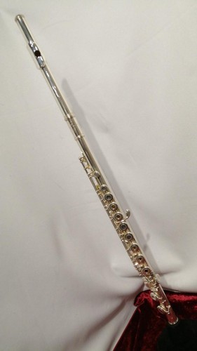 Flute model artist - model, rc